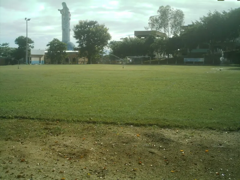 Droga apreendida atrás do campo de futebol do Bairro Bela Vista