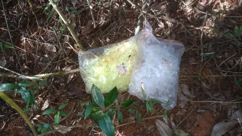 Traficante é preso no bairro Maria das Graças, a droga estava escondida em um matagal