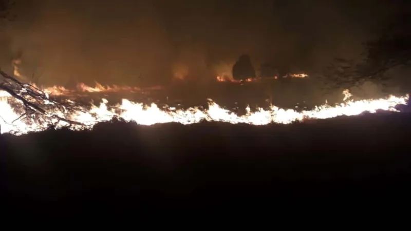 Incêndio em Santa Fé se alastrou por uma área de 4 quilômetros. Somente às 2 horas da manhã o fogo foi totalmente debelado
