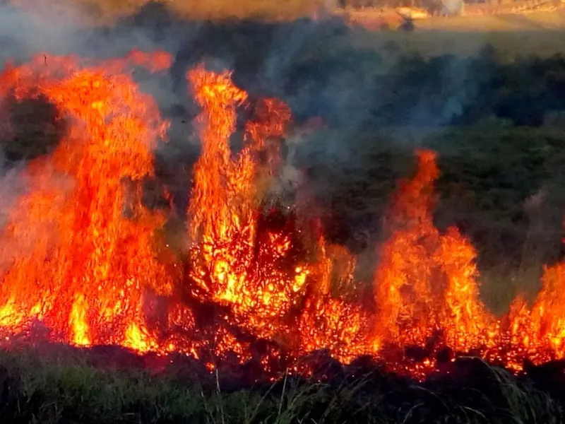 Crianças são retiradas de creche por causa de fumaça provocada por incêndio em Colatina