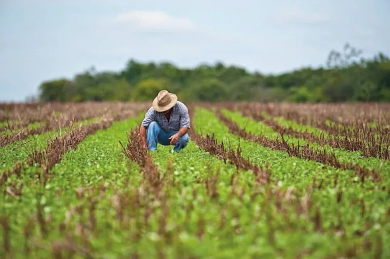 Atenção produtor rural colatinense. Medida Provisória facilita acesso ao crédito rural