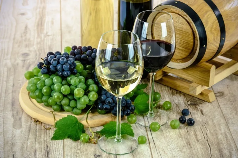 Cadeia produtiva do vinho será tema de encontro em Santa Teresa