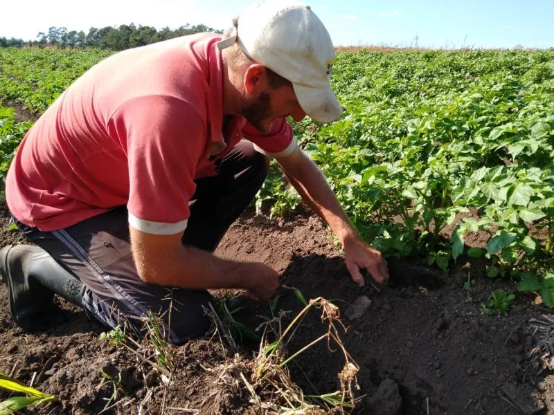 Atenção agricultor familiar de Colatina e região: Câmara aprova auxílio emergencial para a categoria