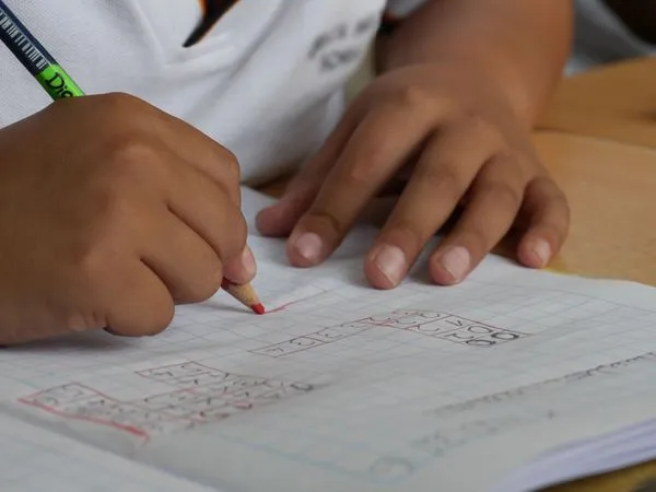 Cadastro de Matrícula da Rede Municipal de Ensino 2021 começa nesta segunda-feira (16), em Colatina