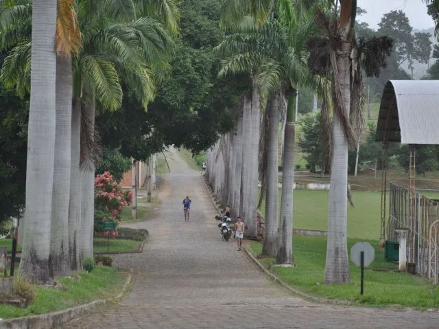 Ifes Campus Colatina e Itapina divulgam resultados parciais da análise de histórico para cursos técnicos integrados