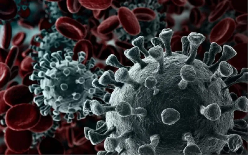 Veja os números atualizados da Covid-19 em Colatina e no Estado