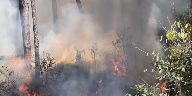 Incêndio em vegetação causa medo aos moradores do Bairro Santo Antônio, em Colatina