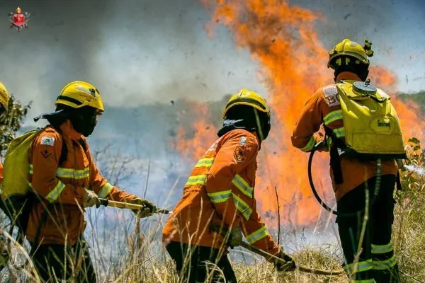 Incêndio assusta moradores dos bairros Santa Mônica e José de Anchieta em Colatina
