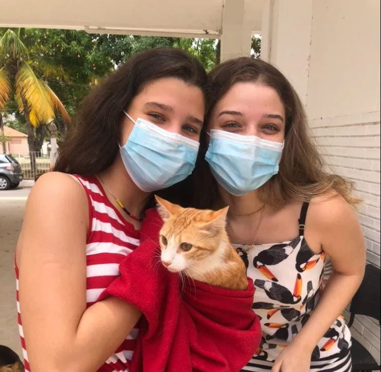 Prefeitura de Colatina vacina mais de 6 mil cães e gatos no dia D