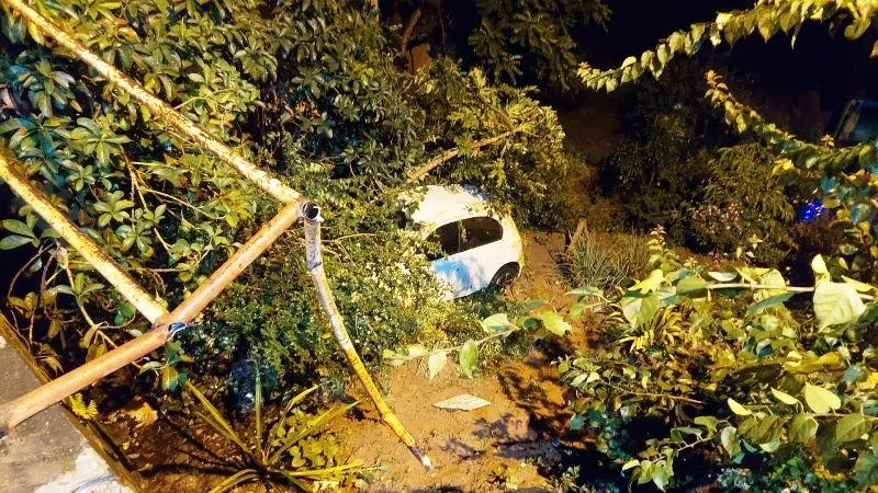 Carro cai de altura de 5 metros após motorista perder controle da direção em avenida de Colatina