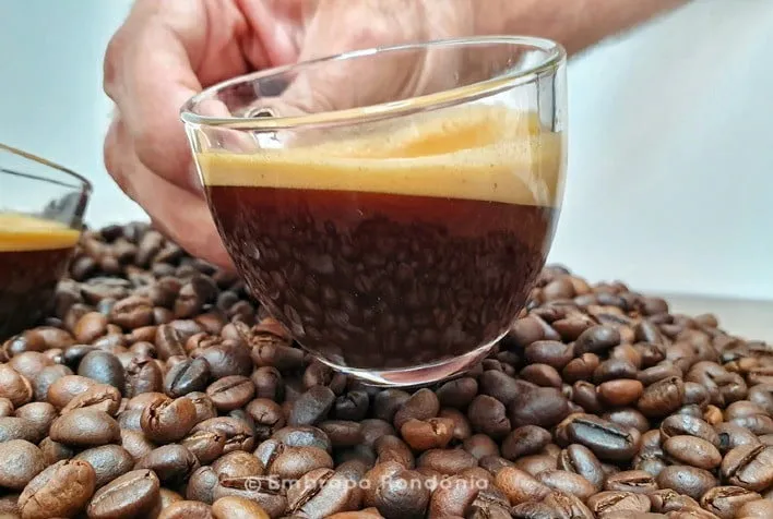 Governo do Estado: curso de produção de cafés especiais para mulheres é realizado em Colatina
