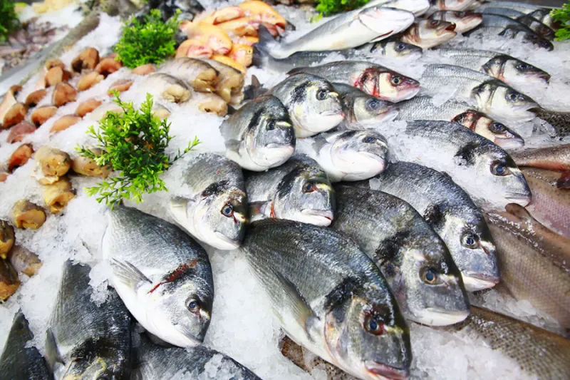 Comerciantes esperam aumento na venda de peixes com o início da Quaresma em Colatina