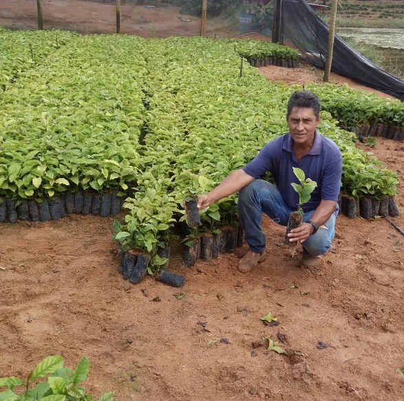 Gerente de fazenda morre em acidente de moto em Marilândia