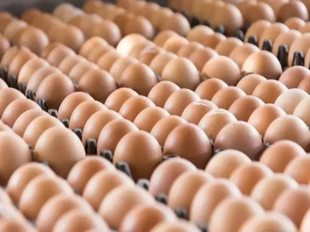 Alta no preço dos ovos assusta consumidores em Colatina