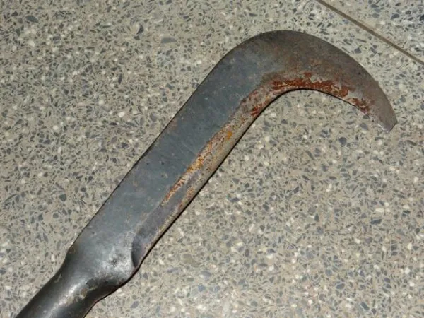 Homem ameaça matar mãe e irmã com foice e acaba detido pela polícia em Baixo Guandu