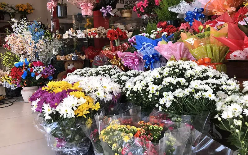Dia de Finados: Floriculturas de Colatina esperam dobro do movimento nesta terça (1º) e no feriado (2)