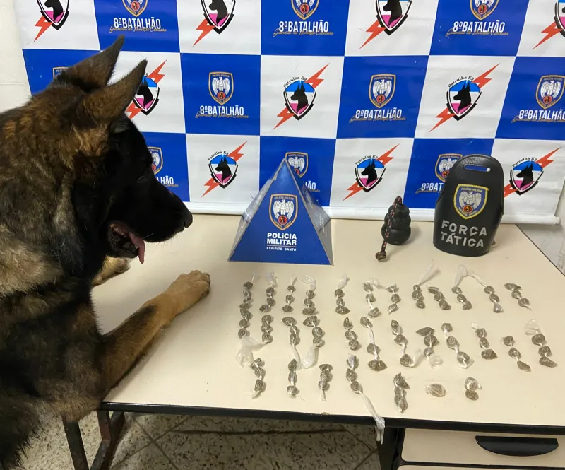 Cão da PM ajuda policiais a encontrarem droga no bairro Operário em Colatina