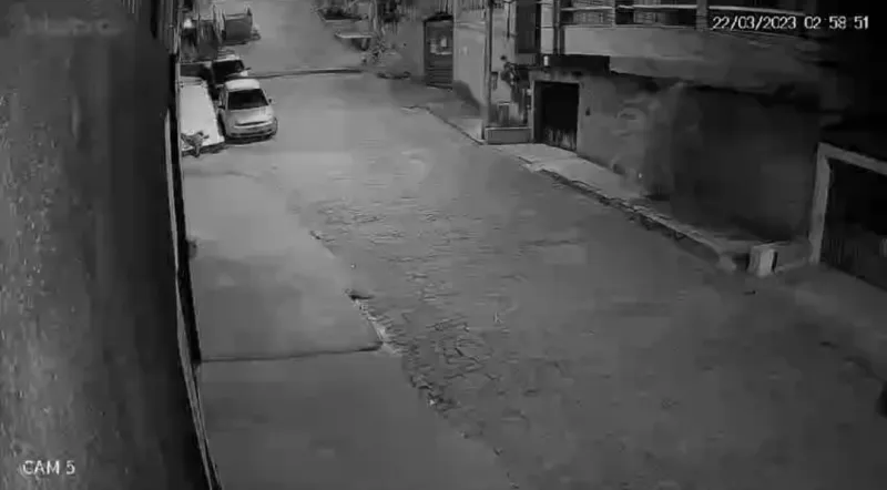Vídeo: furtos em série, uma loja e quatro residências foram alvos de ladrões em São Silvano