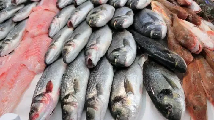Chegada da Semana Santa aumenta o comércio de peixe em Colatina