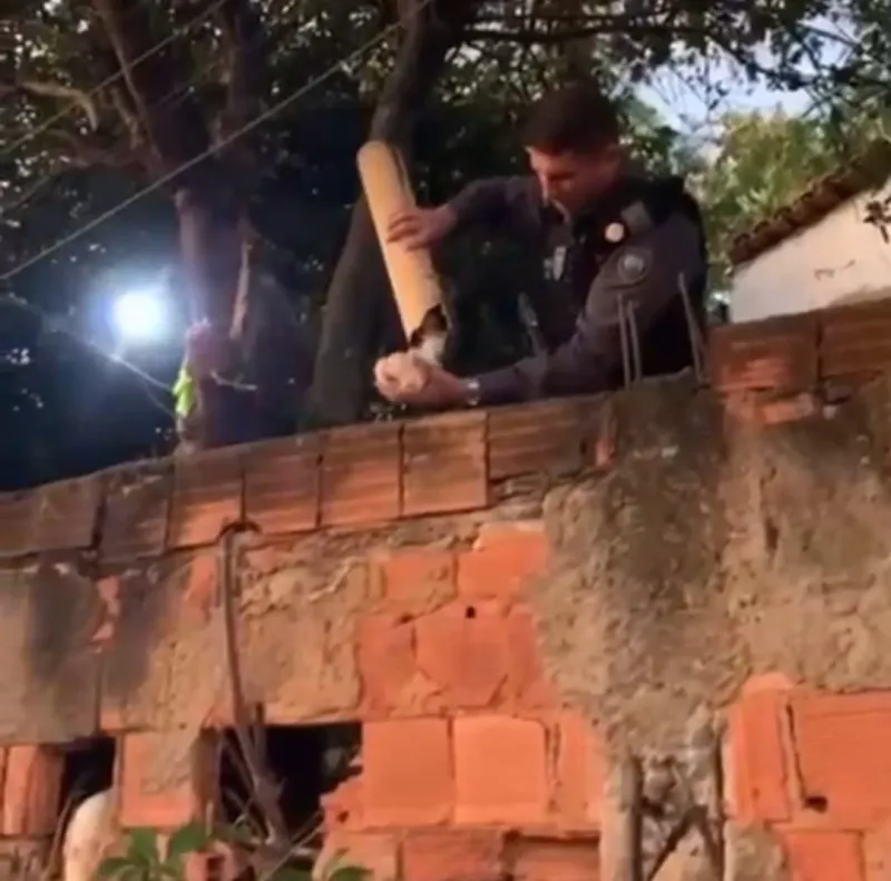 Vídeo: Polícia Militar de Colatina apreende 138 pinos de cocaína no bairro Operário