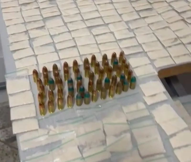 Vídeo: Polícia Militar apreende quase 600 papelotes de cocaína no interior de Colatina
