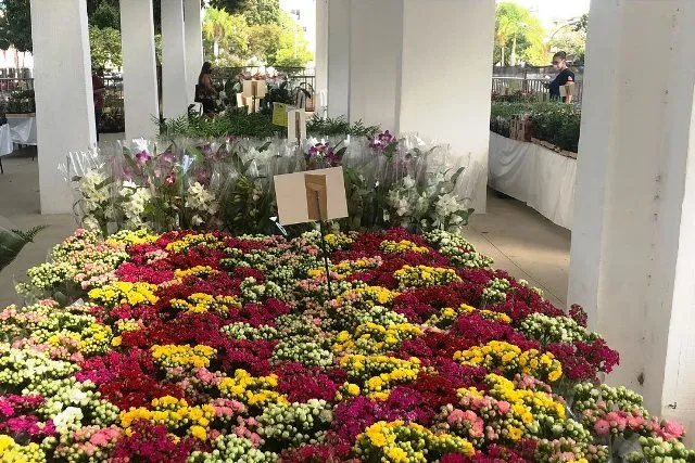 Vem aí mais uma edição da Expoflor, em Colatina