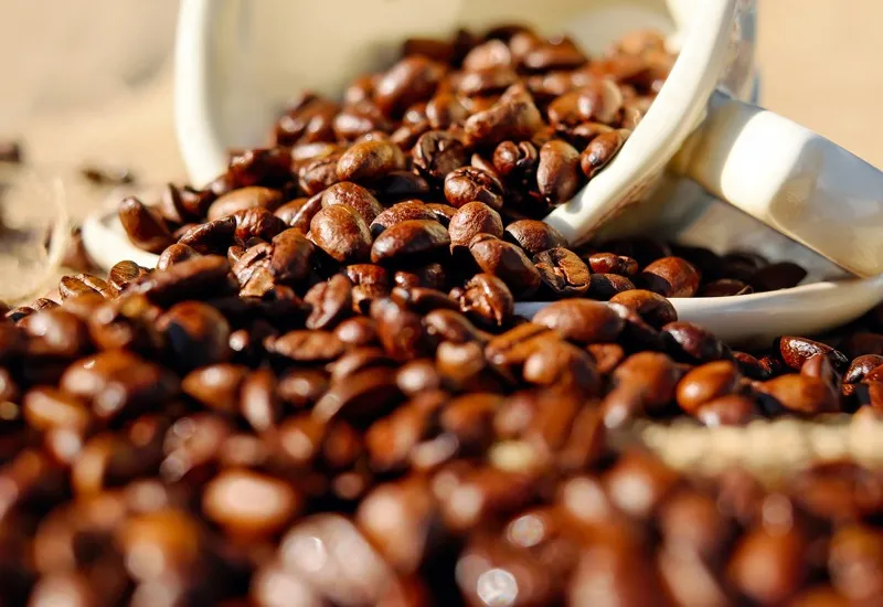 Colatina realiza 1º simpósio da cafeicultura