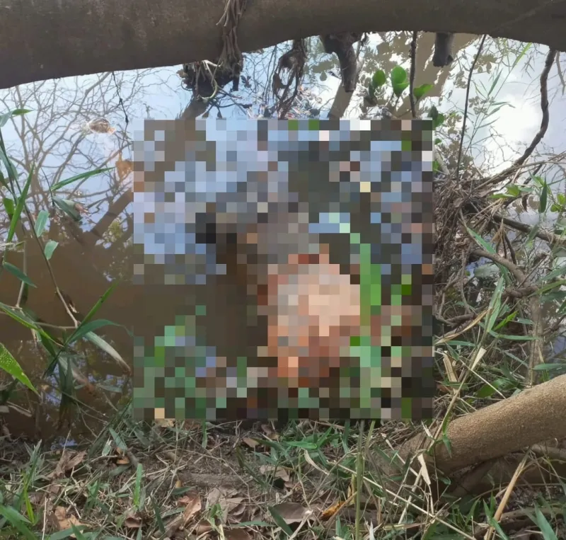 Cadáver é encontrado por pescadores em São Domingos do Norte