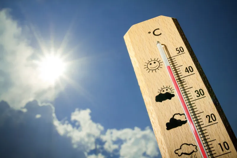 Onda de calor: saiba como se proteger das altas temperaturas