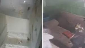 Em tratamento contra câncer, mulher com 4 filhos tem casa furtada em Linhares