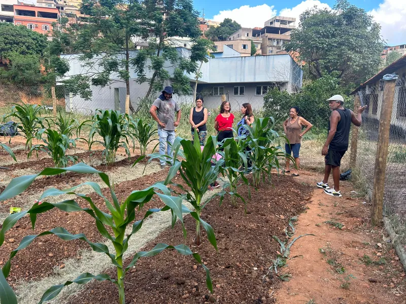 Horta comunitária transforma vidas e promove saúde em Vila Real, Colatina