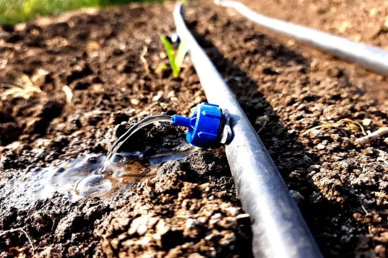 Governo Federal publica portaria reconhecendo o polo de agricultura irrigada em Colatina e região