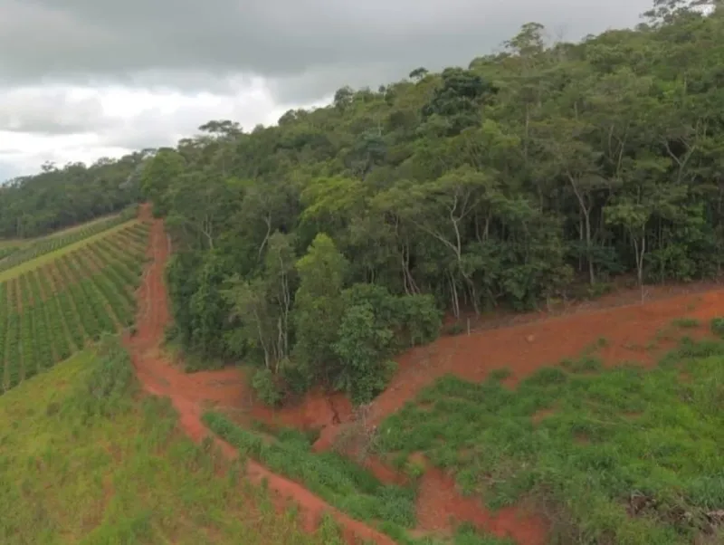 Desmatamento ilegal é constatado em propriedade rural de Itaguaçu