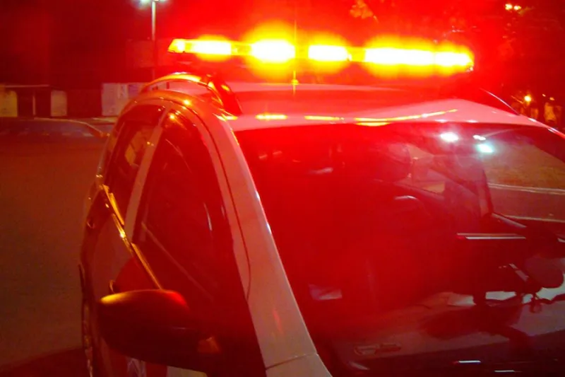 Homem morre após queda fatal enquanto podava árvore em Pinheiros
