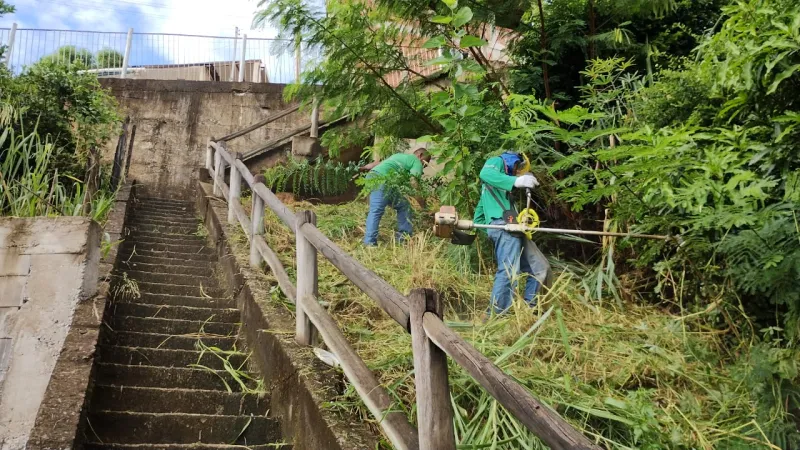 Limpeza pública tem ação especial programada em diversos bairros de Colatina