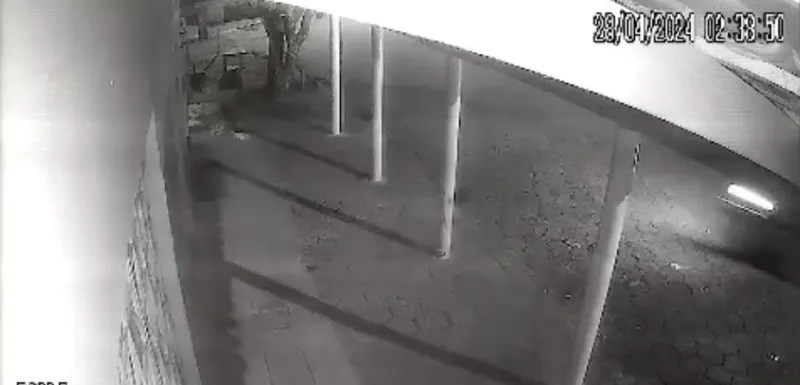 Vídeo: motociclista perde o controle da direção e morre ao bater contra uma árvore, em Governador Lindenberg