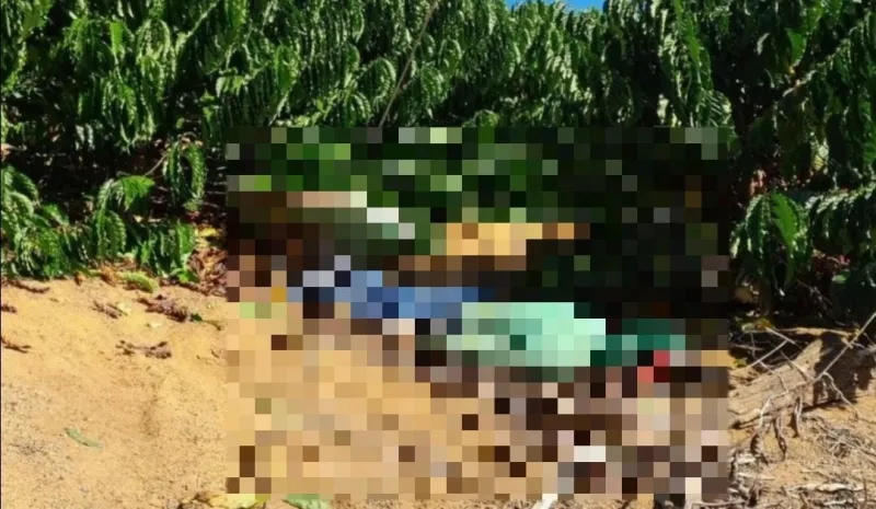 Homem morre após sofrer descarga elétrica na colheita de café em São Francisco Dr. Jhones, divisa entre Linhares e Rio Bananal