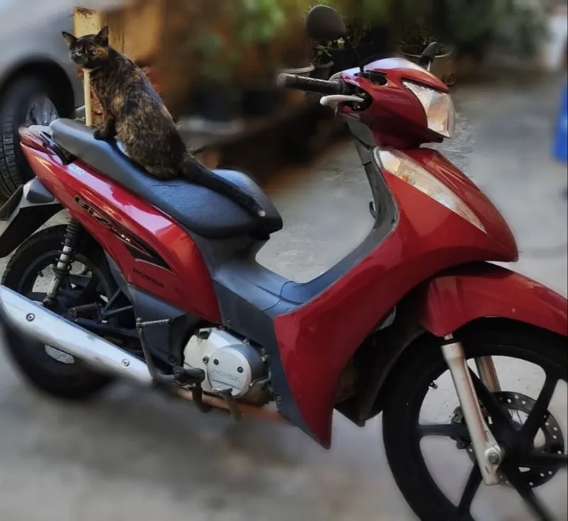 Vídeo: moto é furtada na madrugada desta segunda-feira em Colatina
