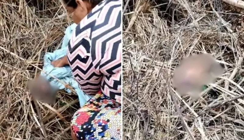 Recém-nascido com cordão umbilical é encontrado abandonado em Sooretama