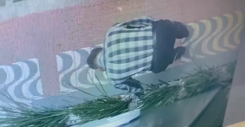 Vídeo: indivíduo é flagrado pegando planta de jardim de academia em Colatina