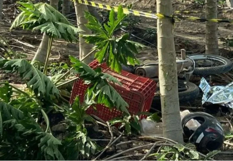 Motociclista morre após bater contra plantação de mamão, em Rio Bananal