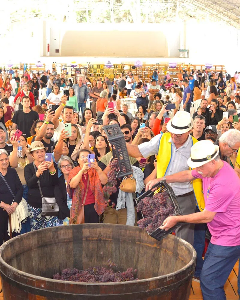 Santa Teresa se prepara para a 25ª Edição da Festa do Vinho e da Uva