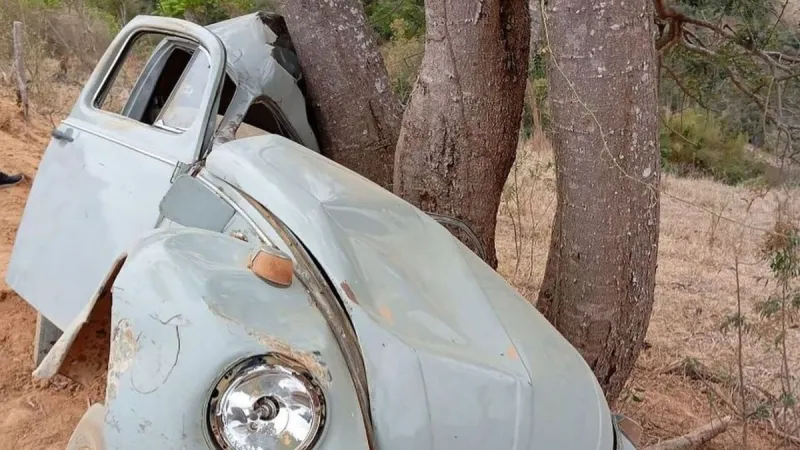 Idoso morre após colisão de carro com árvore na zona rural de Alto Rio Novo