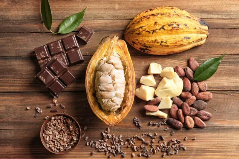 Nova lei do chocolate pode fortalecer produção de cacau em Linhares, Rio Bananal e Colatina