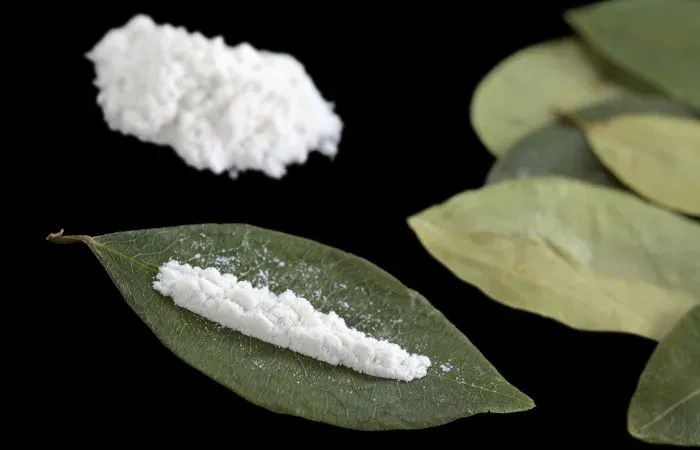Polícia apreende cocaína com “selo de pureza” em Linhares