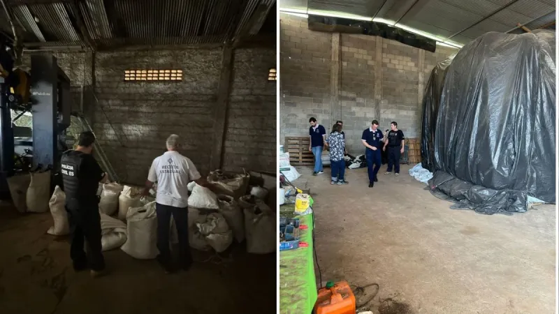 Polícia apreende quase 90 toneladas de pimenta e 250 sacas de café no ES