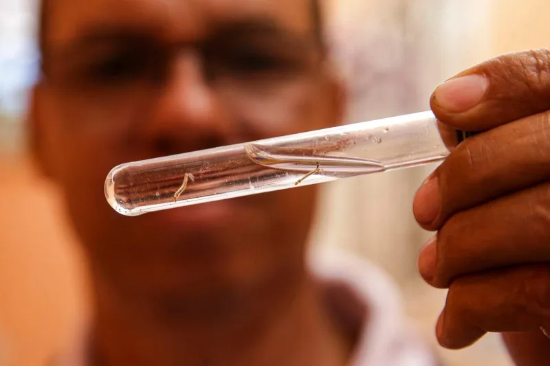 Casos de dengue no Espírito Santo aumentam mais de 10 vezes em relação a 2022