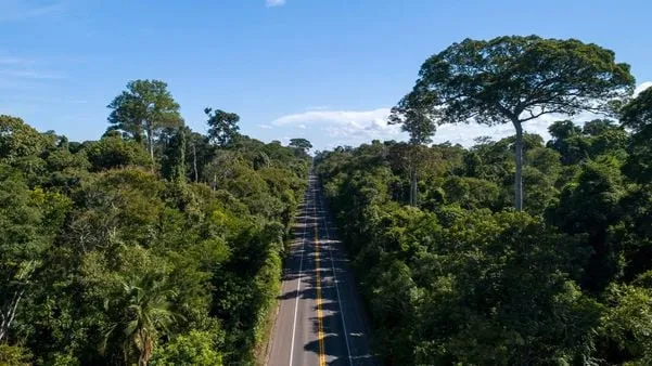 BR-101: limite de velocidade é reduzido para proteger animais silvestres na Reserva de Sooretama
