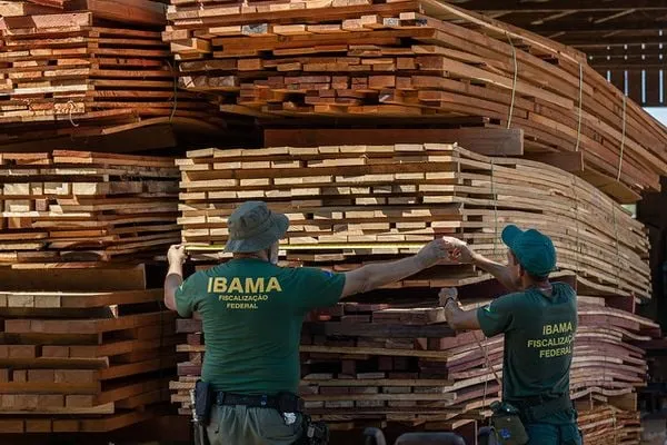 Concursos públicos oferecem mais de 280 vagas com salários de quase R$ 14 mil no Espírito Santo