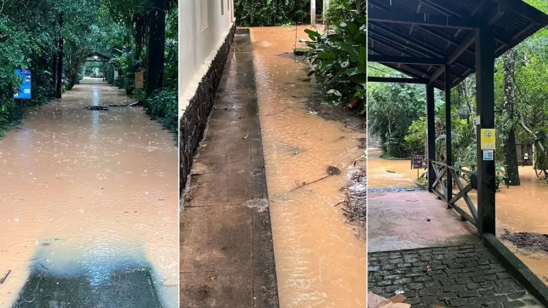 Chuva suspende visitação ao Museu de Biologia de Santa Teresa